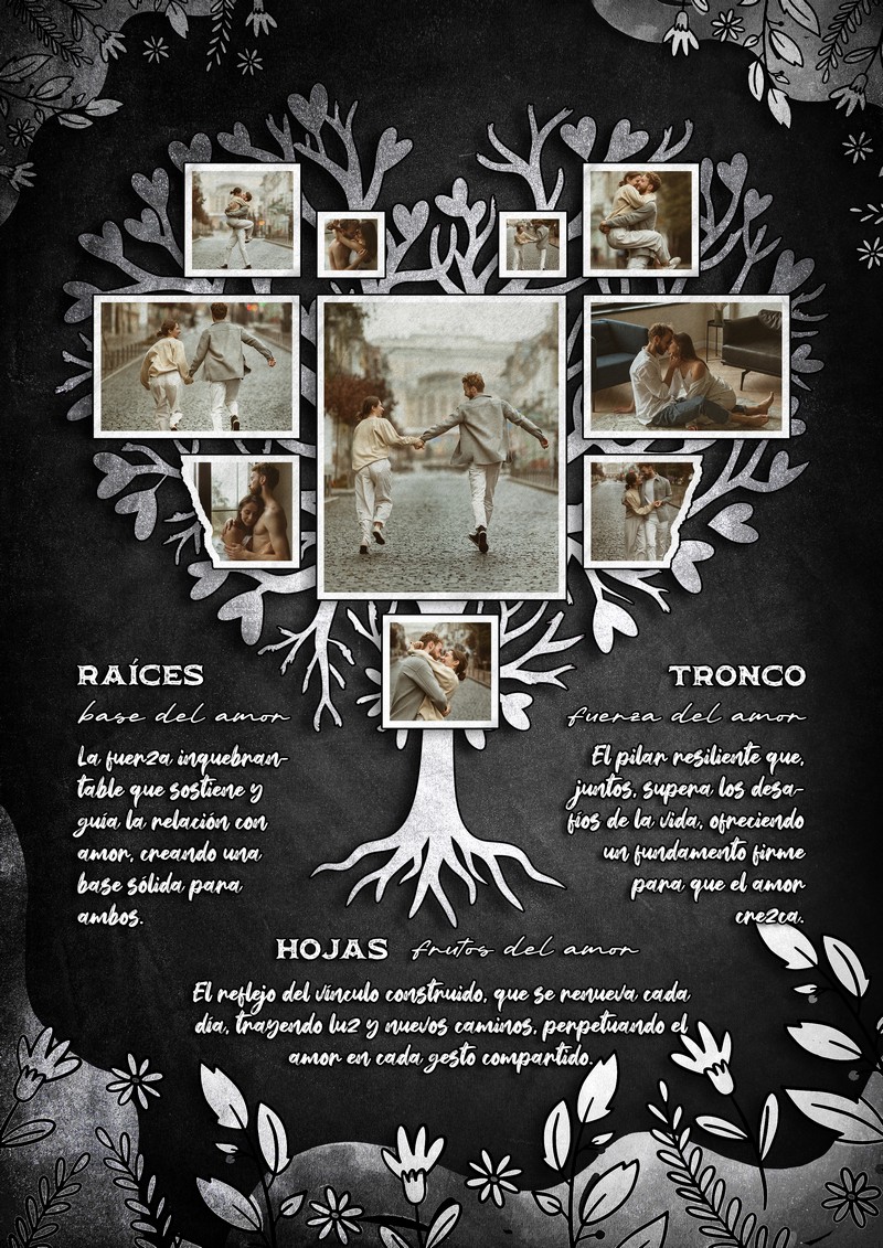 Diseño 54